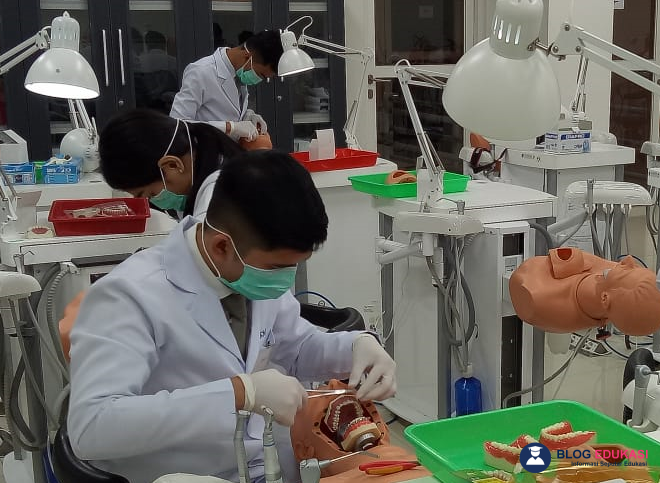 Jurusan Kesehatan Gigi: Prospek Karir yang Menjanjikan