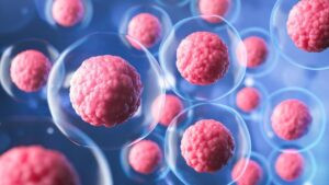 Apa Itu Stem Cell dan Manfaatnya untuk Kesehatan