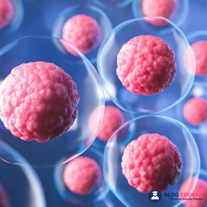 Apa Itu Stem Cell dan Manfaatnya untuk Kesehatan